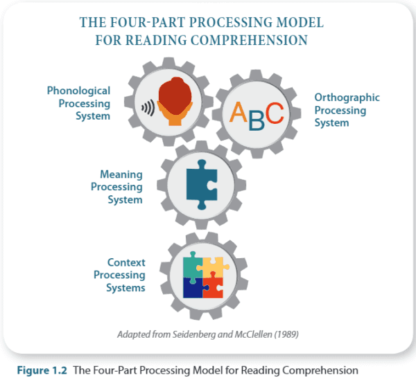 four-part processing model