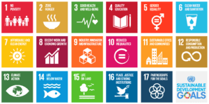 Image of the The 17 Sustainable Development Goals
