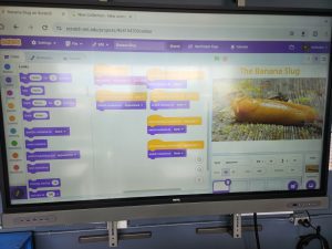 Photo of some coding in Scratch