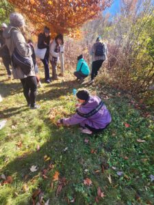 Adults exploring outdoors including one individual squatting down. 