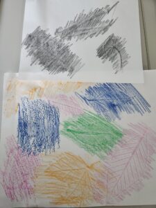 Texture rubbings of leaves.