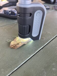 A handheld microscope inspecting a leaf. 