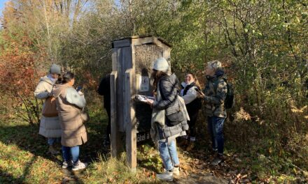 A Breath of Fresh Air: Creative Professional Development for Quebec Teachers